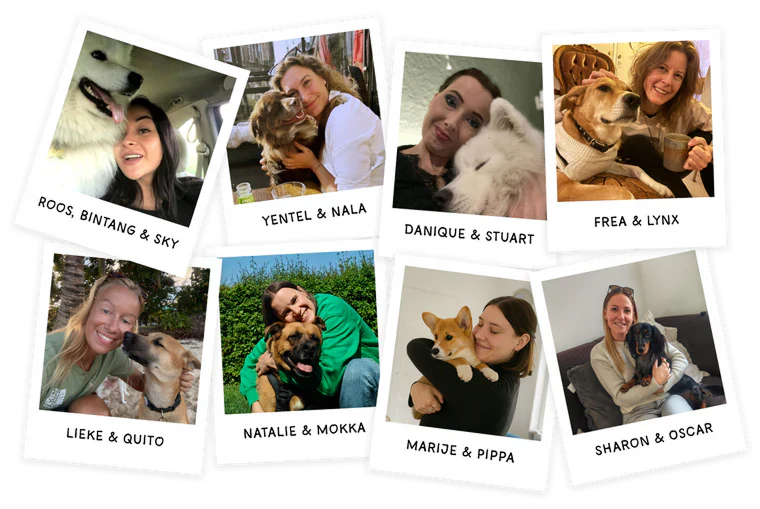 Optimale darmgezondheid voor jouw hond