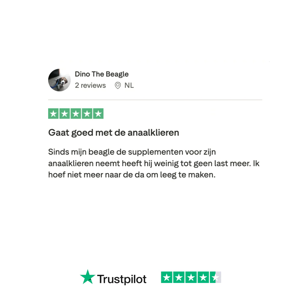 Productafbeelding 10