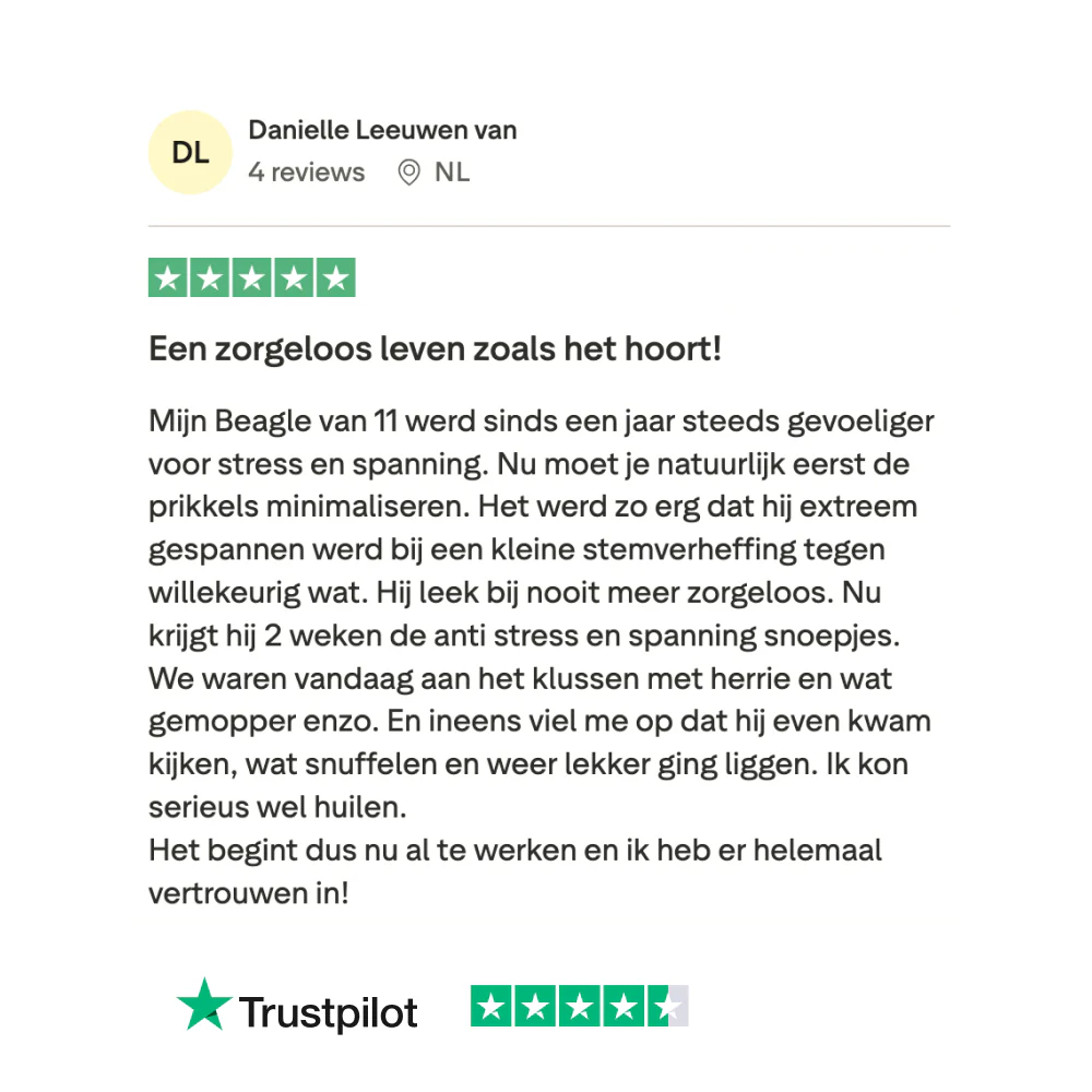 Productafbeelding 10