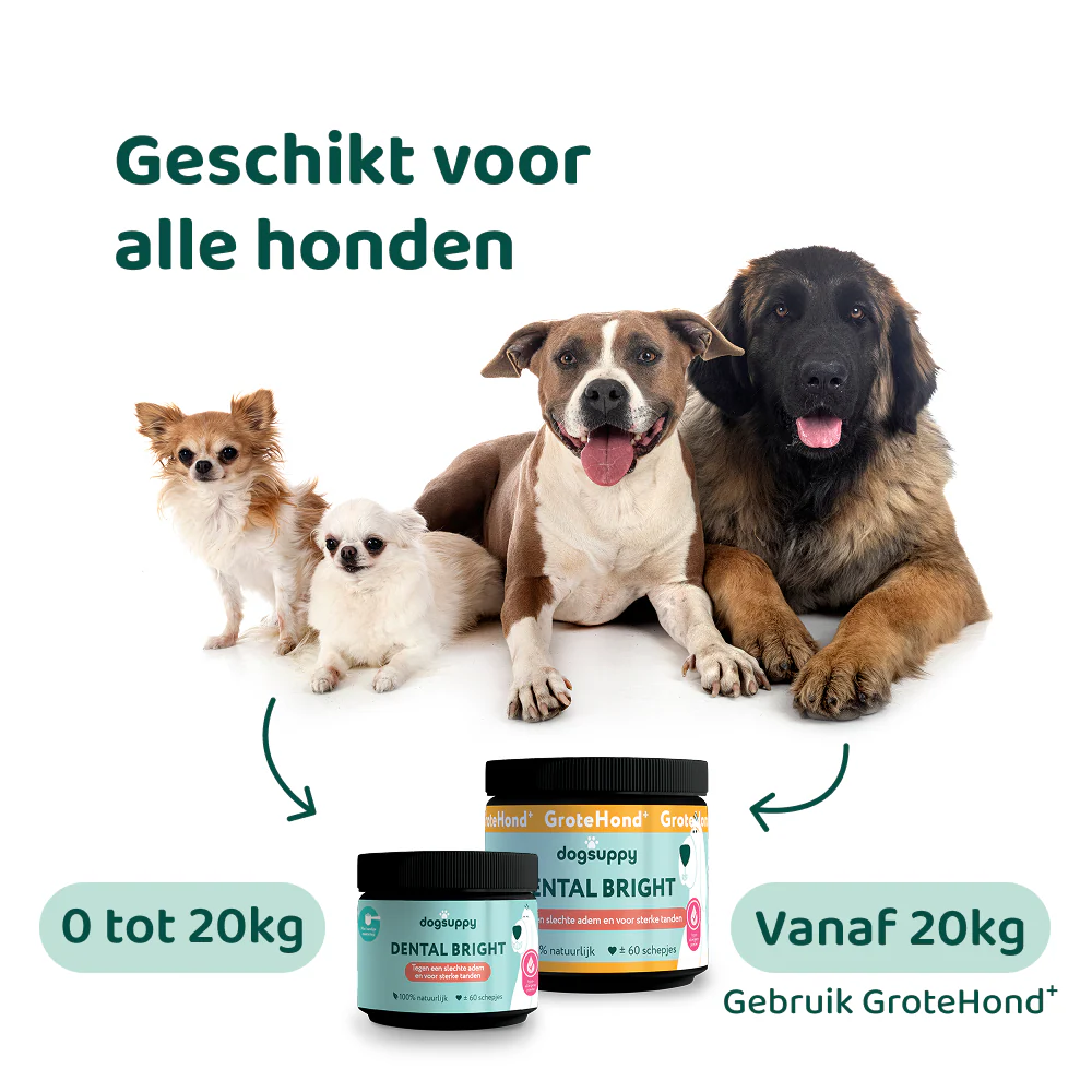 Productafbeelding 11