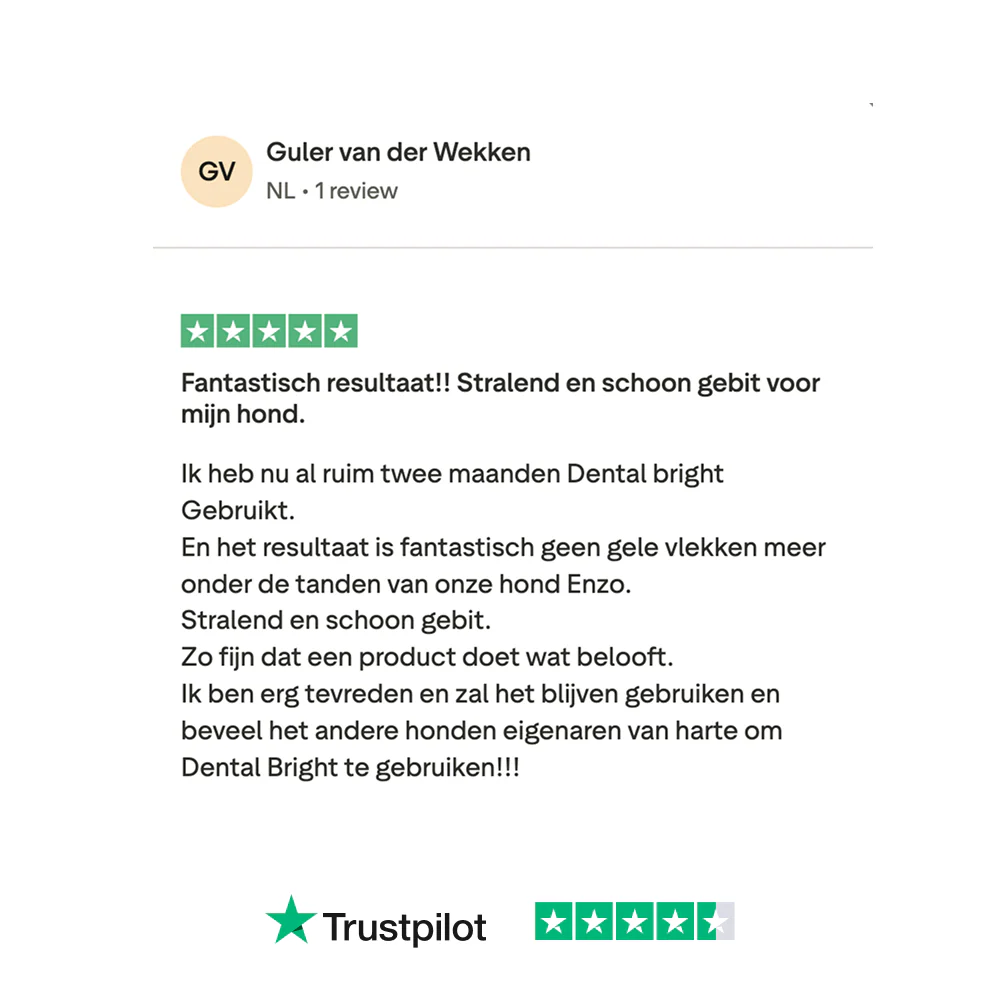 Productafbeelding 12