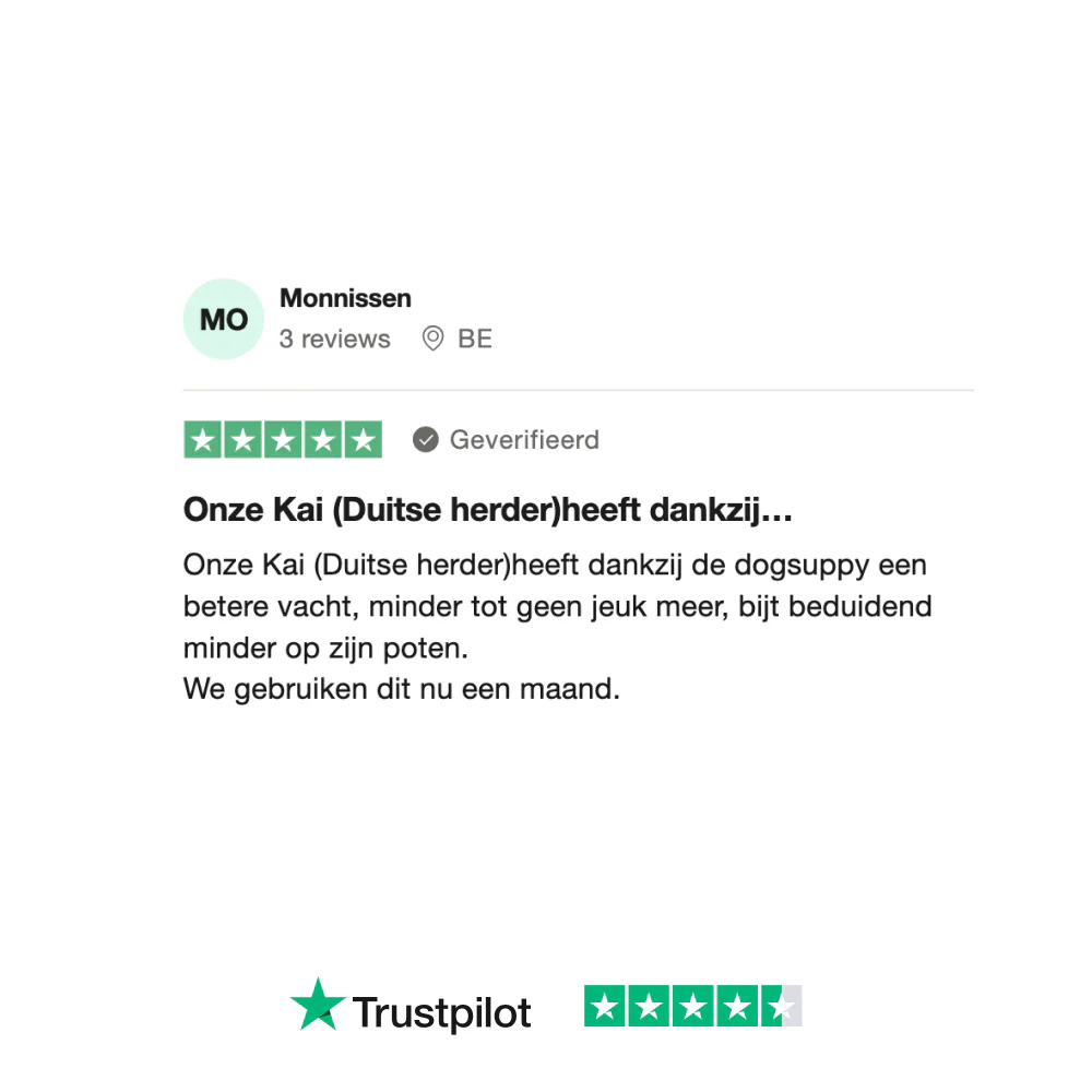 Productafbeelding 13