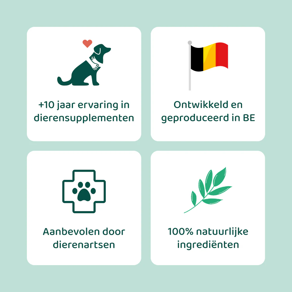 Productafbeelding 16