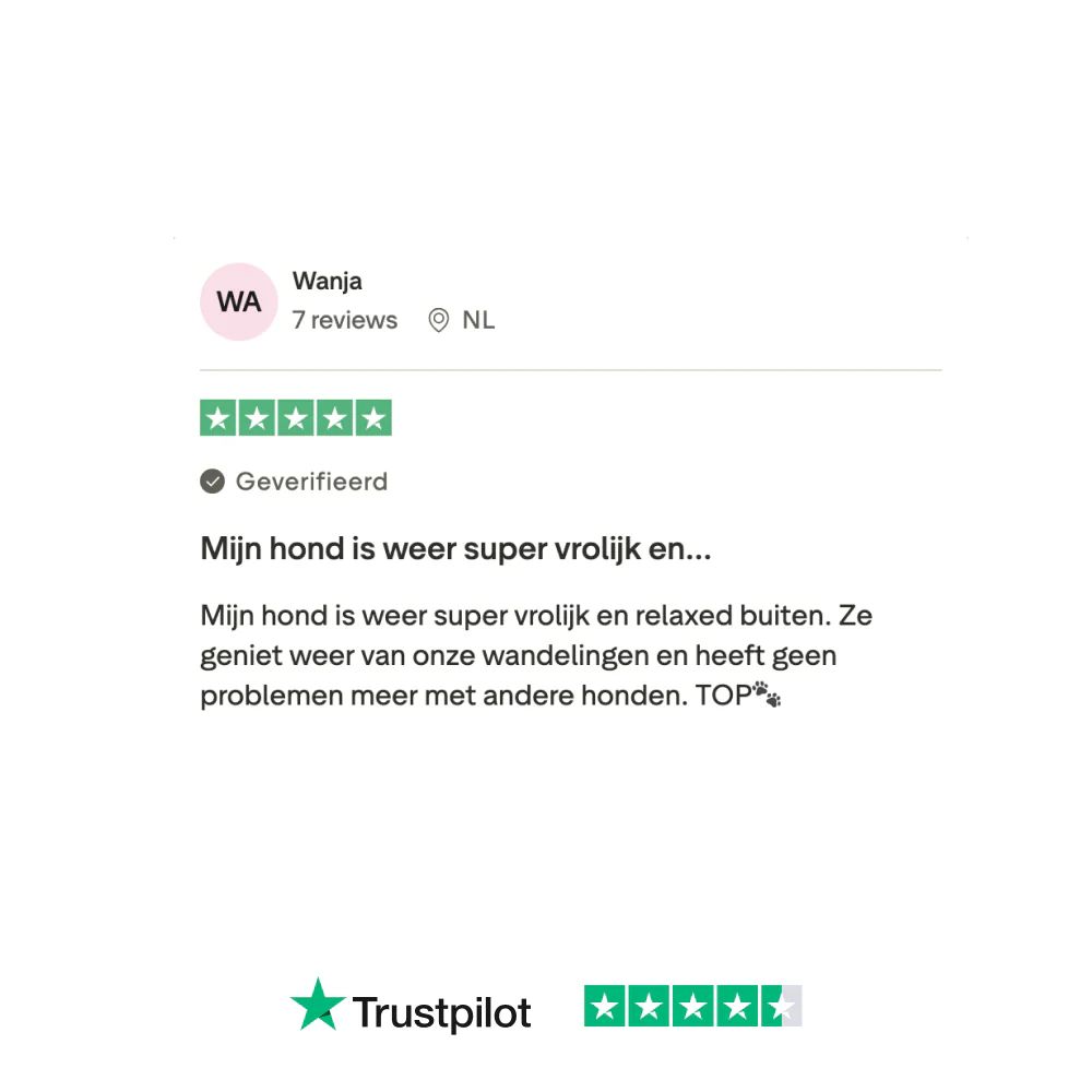 Productafbeelding 12