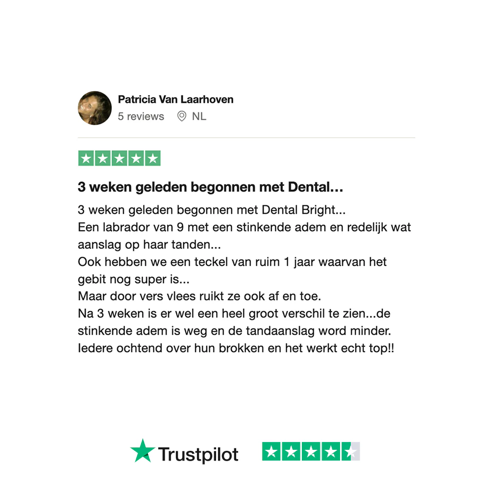 Productafbeelding 12