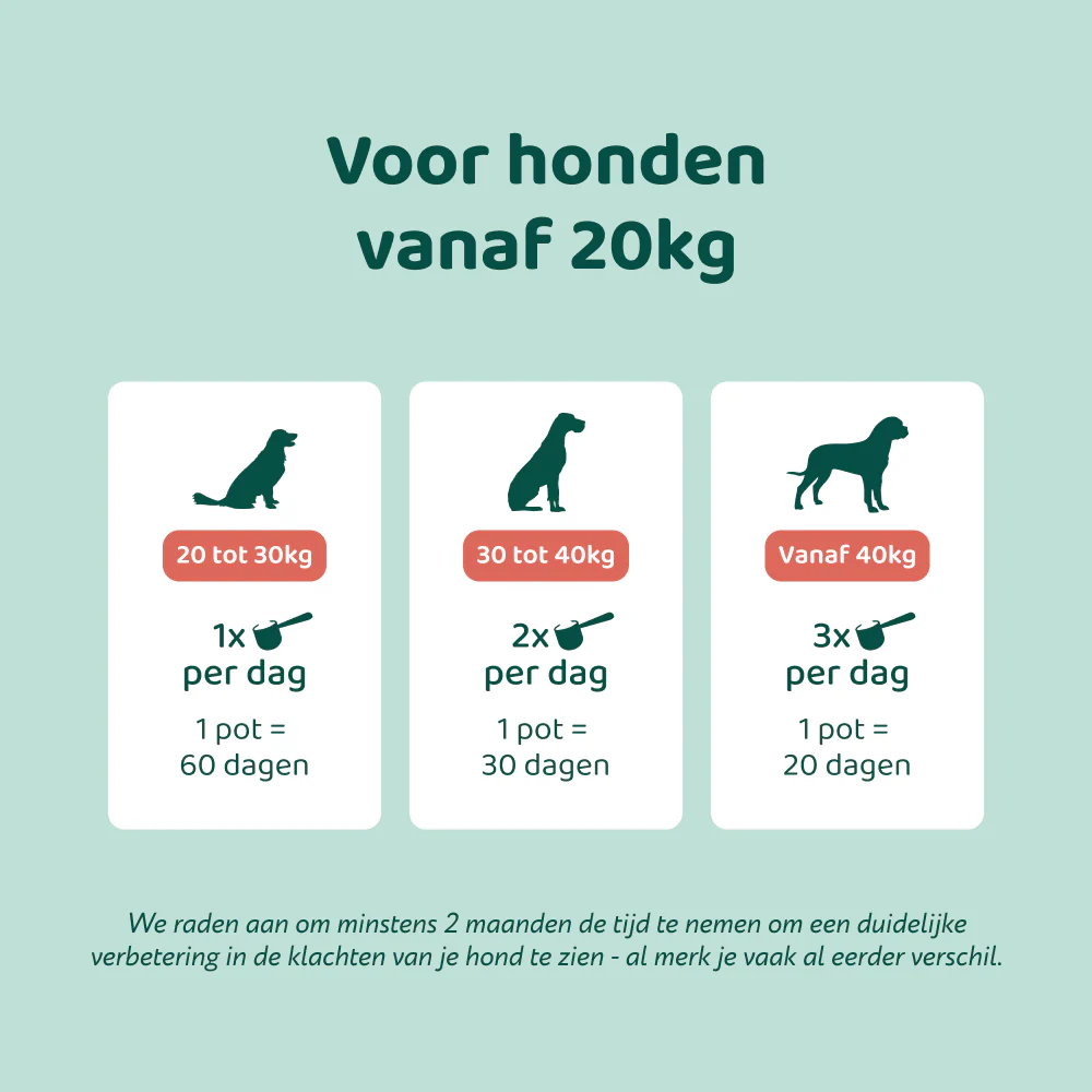 Productafbeelding 13