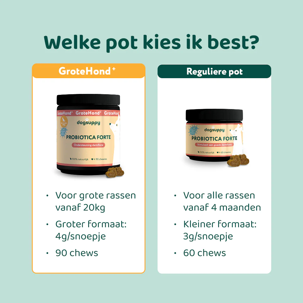 Productafbeelding 11