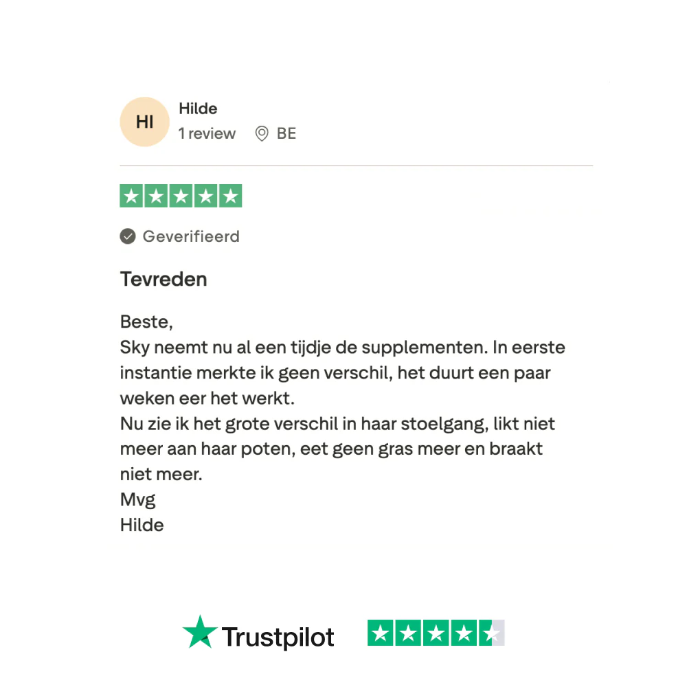 Productafbeelding 10