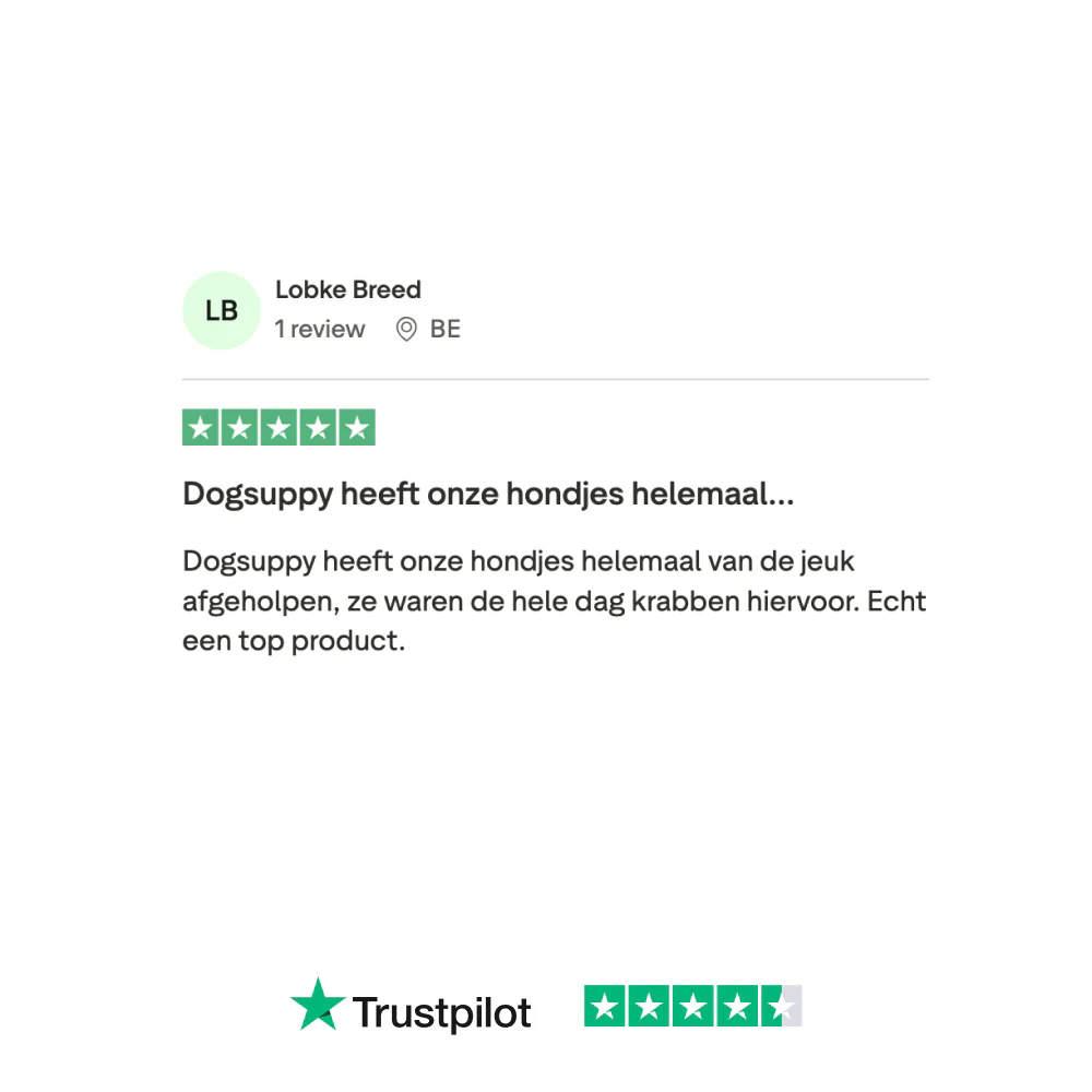 Productafbeelding 13